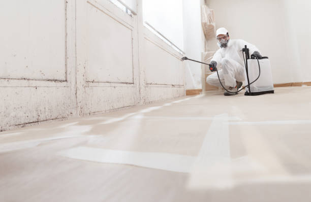 24/7 Emergency Black Mold Remediation experts in Mercer Island, WA
