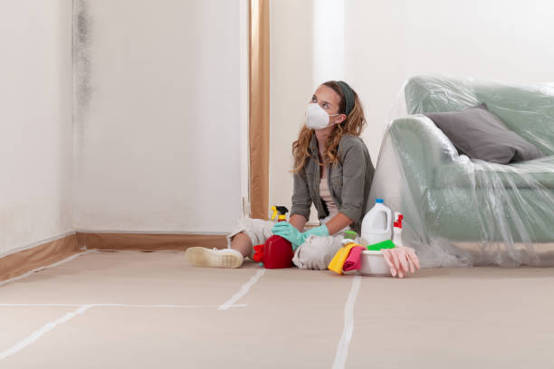 Reliable Black Mold Remediation contractor in Mercer Island, WA by Mold Remediation HQ